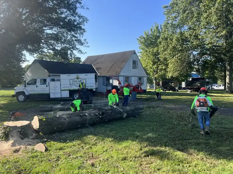 Tree Removal project in Bucks County, PA by Oscar's