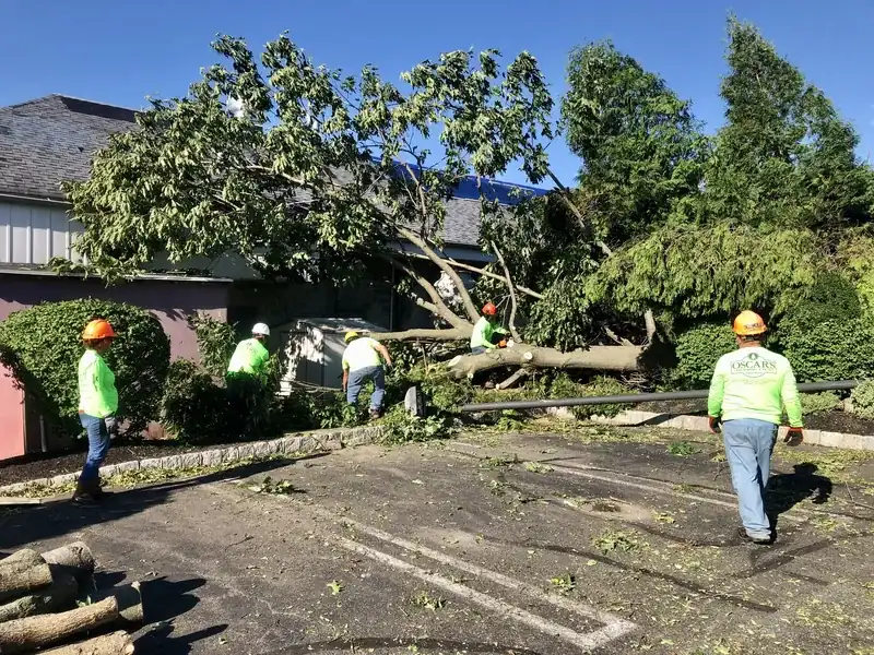 Storm Cleanup in Bucks County, PA by Oscar's crew