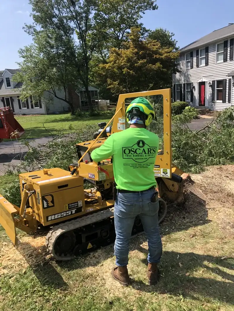 Stump Grinding project in Bucks County, PA by Oscar's