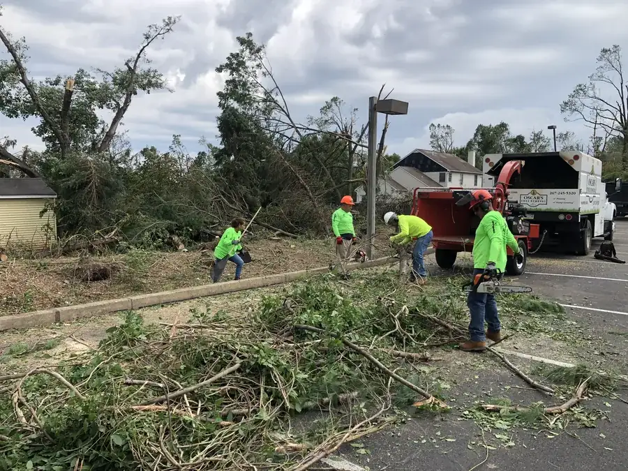 Storm Damage Cleanup in Bucks County, PA by Oscar's crew