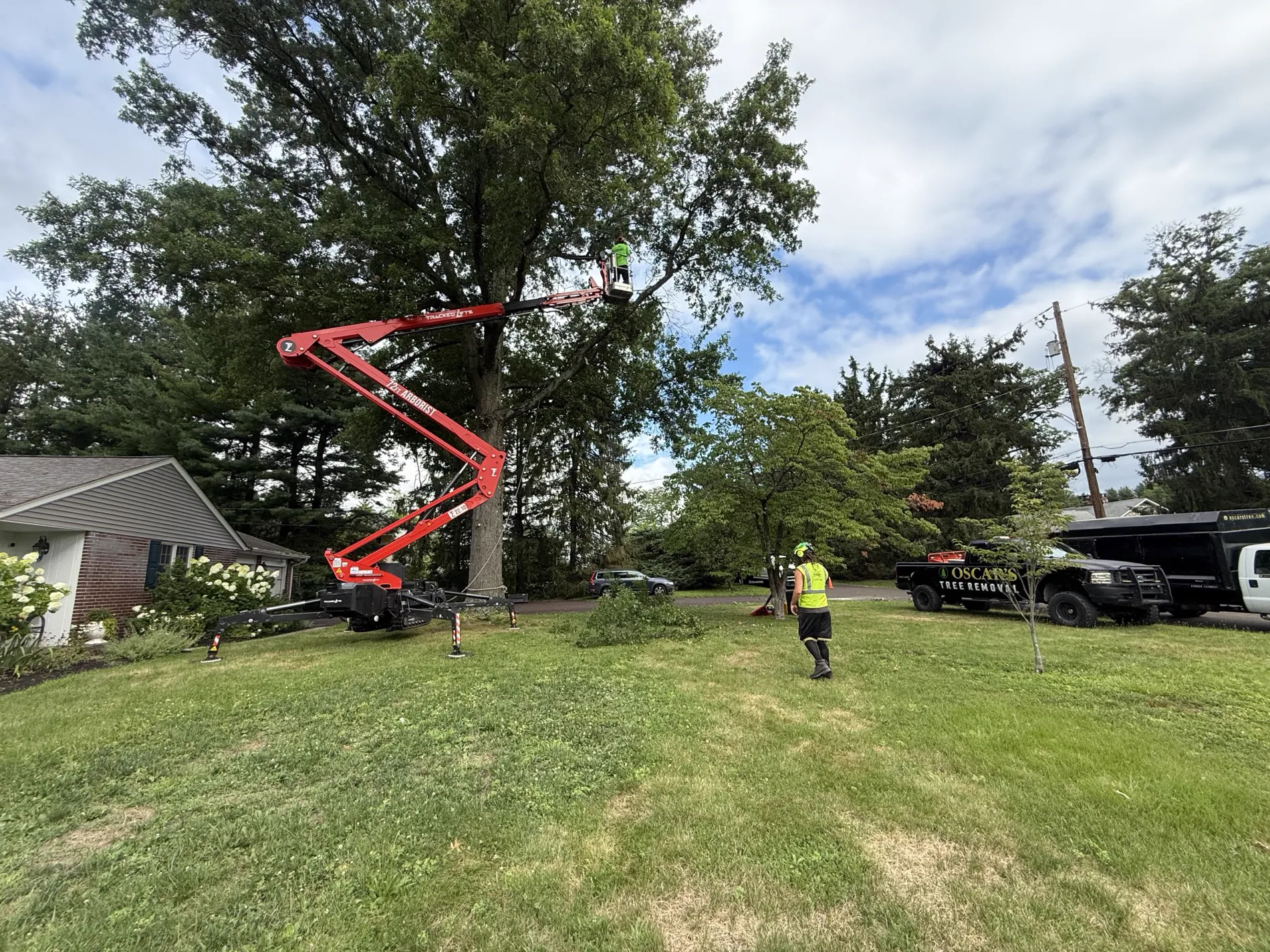 Spider-lift tree removal in a tight New Hope, PA yard by Oscar's Tree Removal