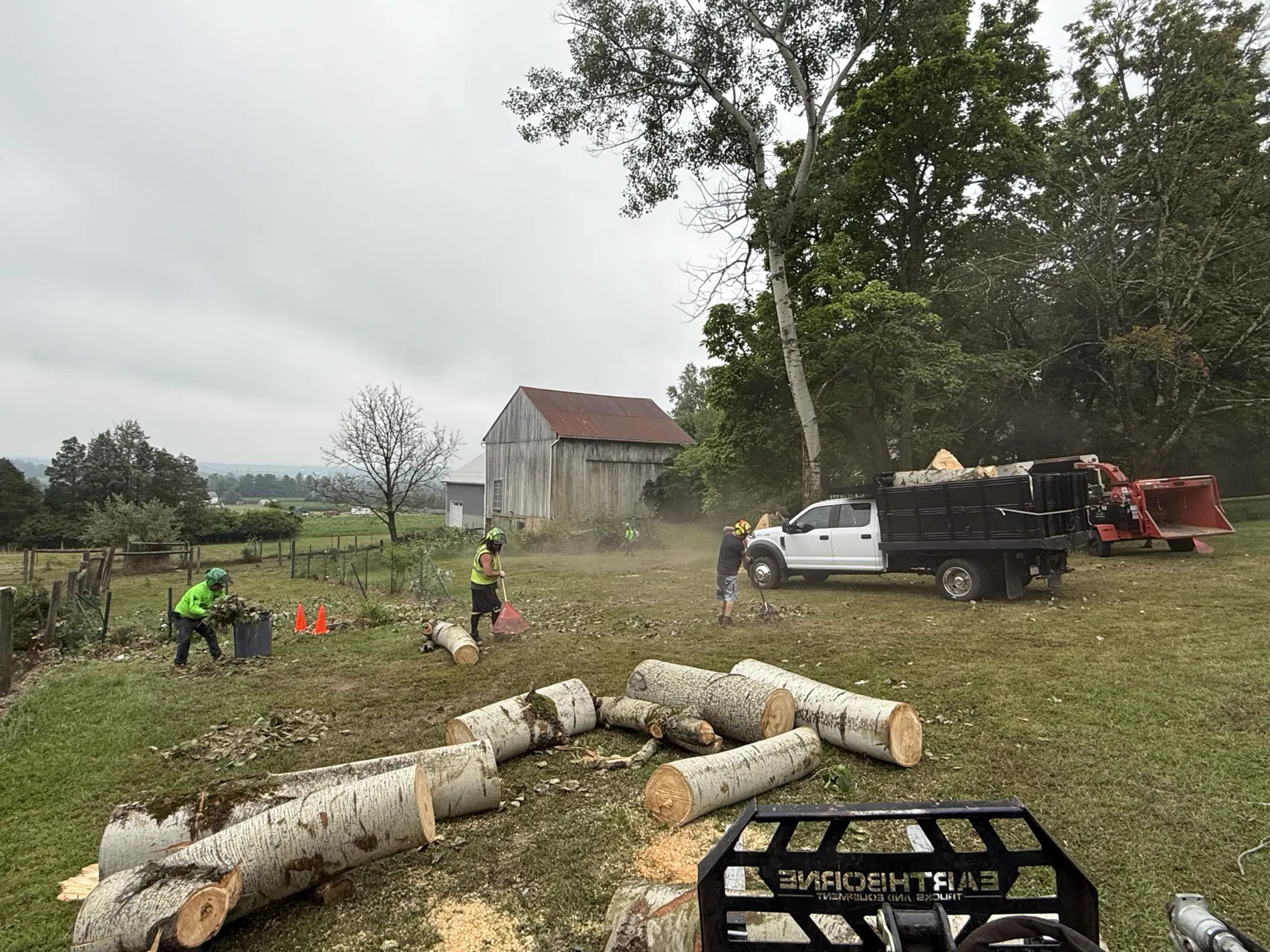 Oscar's Tree Removal crew clearing cut logs after a tree removal in Bethlehem, PA